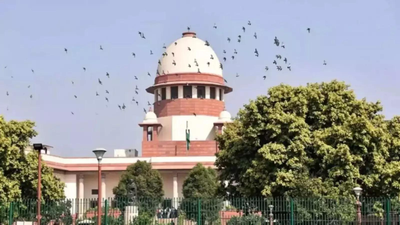 Senior counsels can’t orally mention case before any bench, says SC | India News