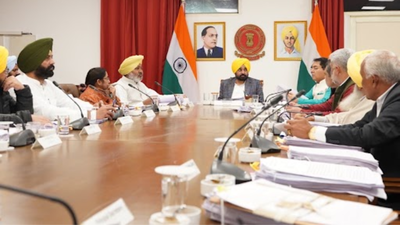 Punjab Cabinet approves empanelment of 300 specialist doctors | India News