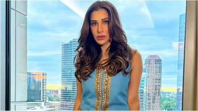 Sophie Choudry claps back at a troll asking about how she is surviving in Bollywood: ‘Through the live show market’ |