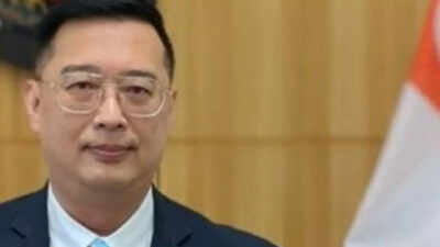 ‘Couldn’t attend staff member’s wedding’: Singapore high commissioner’s flight cancelled; caught in IndiGo chaos | India News