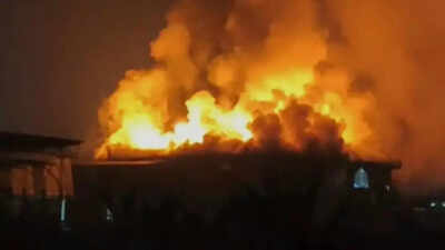 ‘Fireworks were set off’: Goa nightclub survivor recalls moments before fire; what led to the blaze | India News