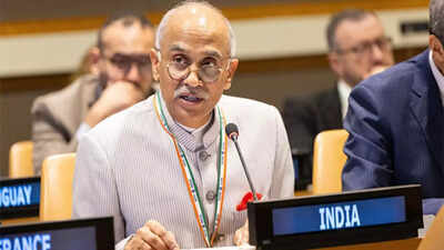 Watch: India rebukes Pakistan at UNSC; says J&K, Ladakh are integral parts of the country | India News
