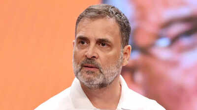 ‘Videsh nayak’: BJP takes dig at ‘paryatan leader’ Rahul Gandhi; Congress leader to be in Germany from Dec 15–20 | India News