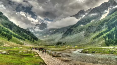 Chinese national sent back to Delhi from Kashmir | India News