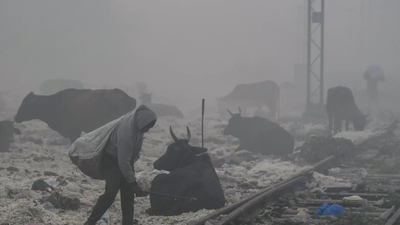 Delhi air pollution: Singapore, UK and Canada issue advisory as AQI soars; caution travelers | India News