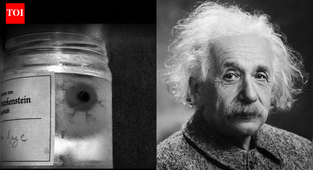 Albert Einstein’s eyes were stolen after his death and hidden in a New York safe-deposit box |