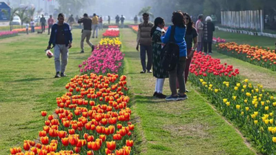 NDMC to plant 2.6 lakh tulips; religious sites, public spaces to be decorated | India News