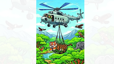 IAF airlifts tigress from Pench to Ramgarh Vishdhari | India News