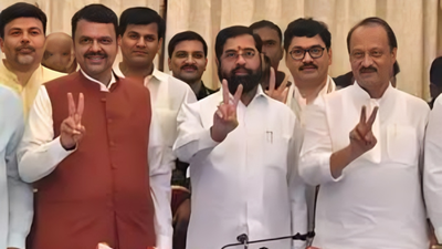 Mahayuti sweeps Phase 1 of Maharashtra local body polls | India News