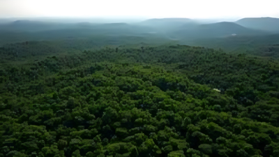 Uttarakhand mute spectator to grabbing of forest land: Supreme Court | India News