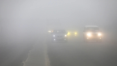 2 killed, 16 injured as fog triggers pile-up in Amethi | India News