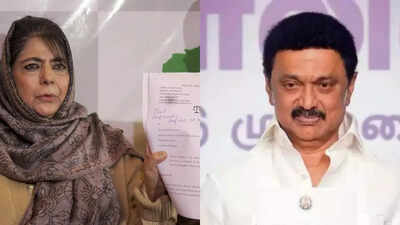 ‘Ask Stalin to speak in Urdu or English’: Mehbooba Mufti snaps at journalist; continues to use Kashmiri – watch | India News