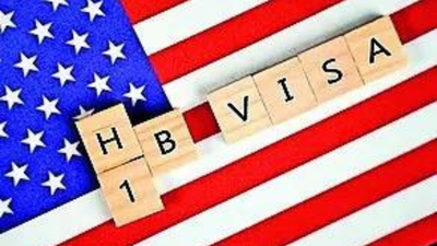 MEA flags expansion of H-1B review | India News