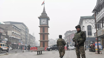 J&K students association says another Kashmiri shawl seller assaulted | India News