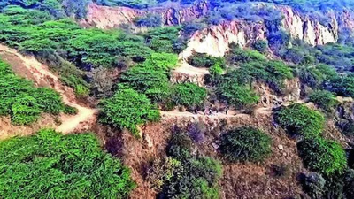 Supreme Court saved Aravalis for 20 years, and PMO on two occasions | India News