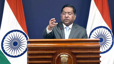 ‘Finger pointing’: India rejects Pakistan’s charges of attacks on minorities; hits back at its own ‘abysmal record’ | India News