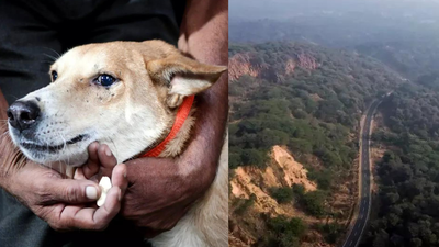 2025 a year of flip flops in SC, it overturns many orders, including on Aravali, within weeks & months | India News