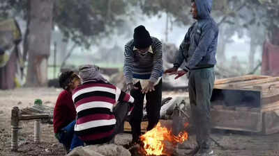 Central and adjoining northwest India may face chilly winter with more number of cold wave days: IMD | India News