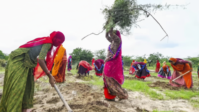 The new logic of rural welfare: Why VB-G RAM G makes sense for a $4 trillion economy | India News