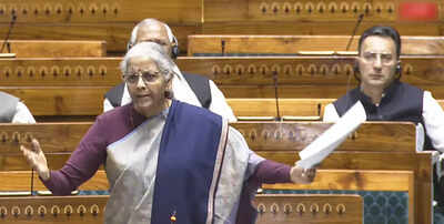 Pan masala cess gets Lok Sabha nod in boost to defence priorities | India News