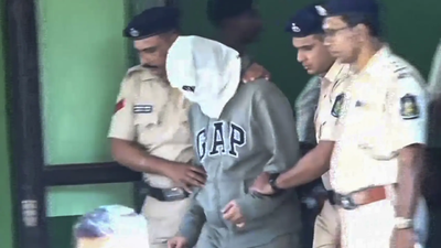 Nightclub fire: North Goa court orders fresh medical check of Luthra brothers; one sibling reported chest pain earlier | India News