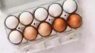 Test eggs for banned antibiotics, orders FSSAI after nitrofurans row | India News