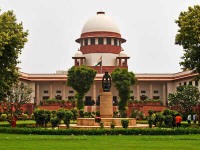 WFH status shouldn’t tilt balance in custody battle: SC | India News