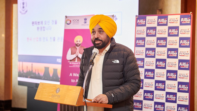 Mann meets South Korean industrialists, pitches Punjab as future-ready investment destination | India News