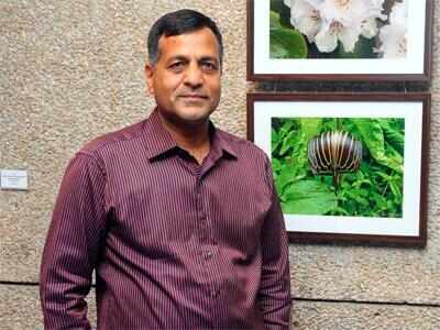 ‘Should not exist’: Former election commissioner Ashok Lavasa on legal immunity to CEC, ECs; calls it ‘extraordinary protection’ | India News