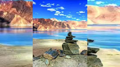 New Buddhist outfit stakes claim to being part of Ladakh talks | India News