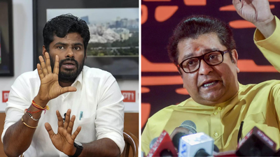 ‘Will come to Mumbai, try cutting my legs’: BJP’s Annamalai fires back at Raj Thackeray; slams ‘rasmalai’ jibe | India News