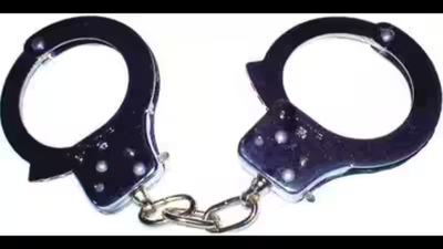 2 held for killing ex-law officer’s wife in Punjab, cops say help planned it | India News