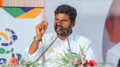 Annamalai’s Mumbai remark sparks row | India News