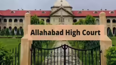 Wife’s qualification no ground to deny maintenance: HC | India News