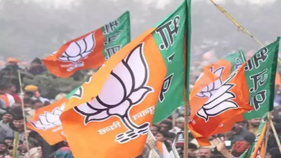 Voluntary contributions to BJP up 54% to Rs 6,125cr in 2024-25 | India News