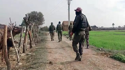 Op Trashi-I Day 5: Gunfight erupts in Singhpora; searches continue | India News