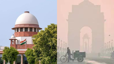 Supreme Court gives CAQM 2 weeks to ready sector-wise plans on pollution | India News