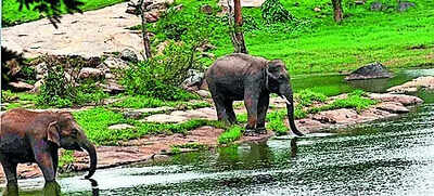 Aravalli-like row in Bengaluru: SC panel visit today | India News
