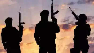 J&K: Police attach property of Pak-based handler in Poonch; UAPA invoked | India News