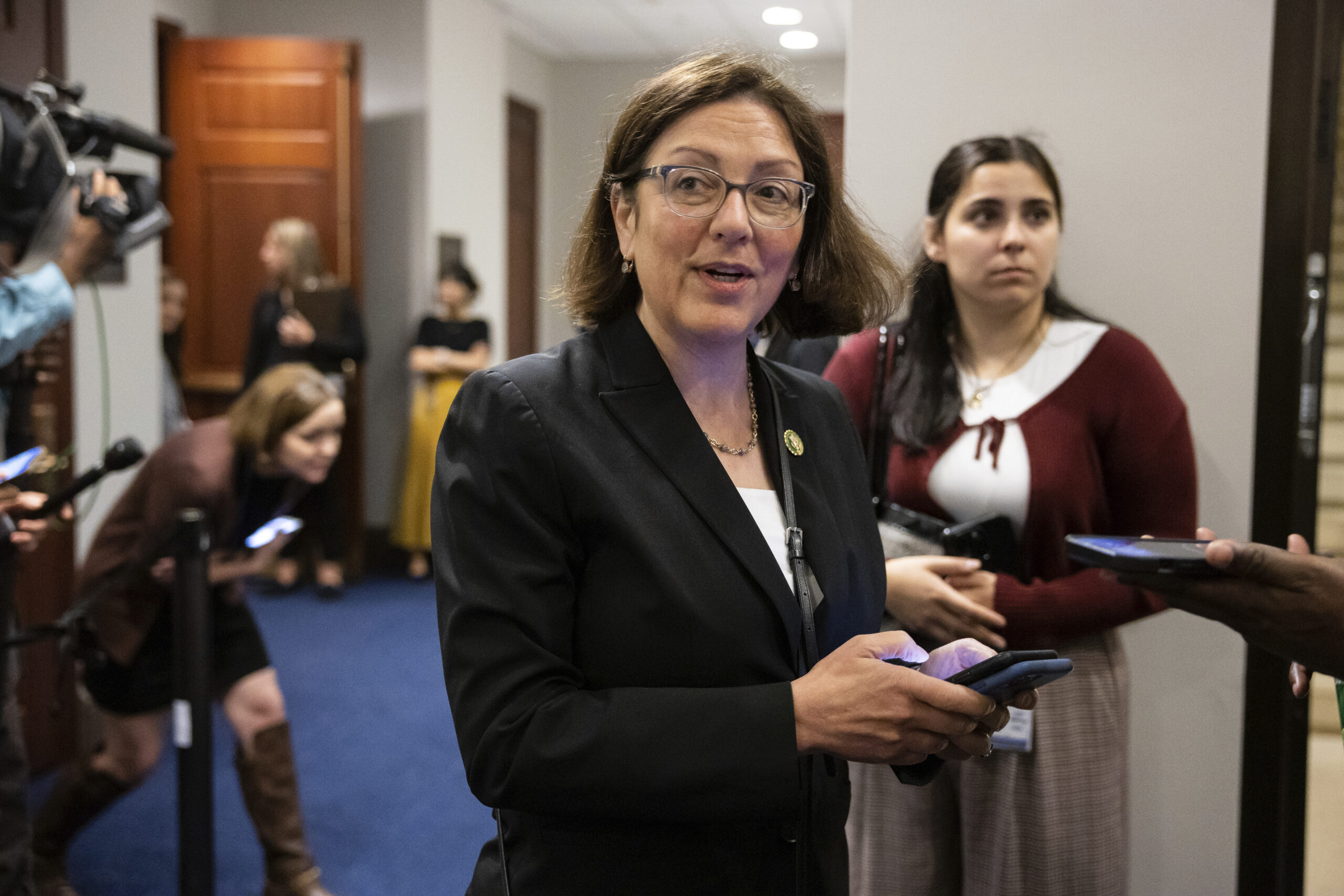 Democrats are ready to campaign on expired Obamacare subsidies