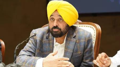 South Korean delegation meets Punjab CM | India News