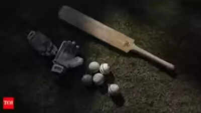 Bangladesh-born team owner Tamim Rahman gets sentenced in match-fixing case | Cricket News