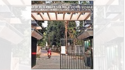 MP’s ‘gau mutra, gobar cancer project’ funds splurged on cars, travel: Probe | India News