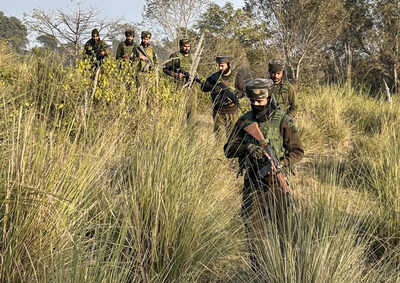 Major crackdown: Five J&K govt employees sacked over ‘terror links’; one was in ‘regular contact’ with top LeT commander | India News