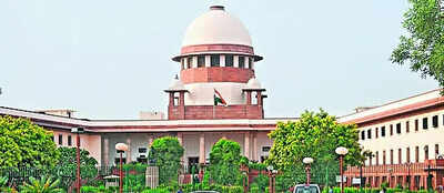 Speedy trial must, says SC, gives Red blast accused bail | India News