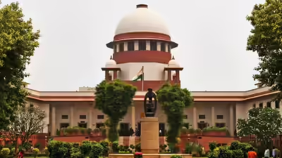 Sympathy for accused cannot override the law, rules SC | India News