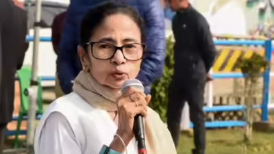 ED team came to steal voter info, says Didi, files FIRs against officials | India News