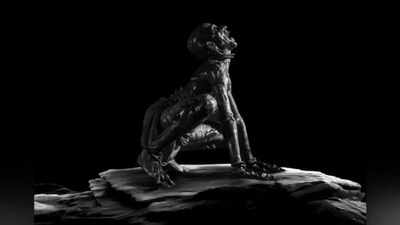 Mammootty hailed as ‘Mollywood legend’ by fans after Academy Museum LA screening of ‘Bramayugam’ | Malayalam Movie News