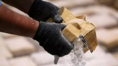 Pakistan drone-dropped drugs worth Rs 40 crore seized in Jammu | India News