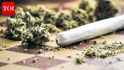 Three youths held with ganja in Kochi; actor Tini Tom’s son among those arrested; Four grams seized | Malayalam Movie News